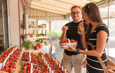 Marché public du centre-ville de Montmagn: La belle saison approche à grands pas