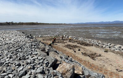 Stabilisation des berges : la phase de végétalisation est en cours