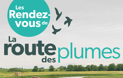 Un premier rendez-vous ornithologique dans la région